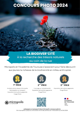 Affiche concours Biodiver'cité 2023-24-Micropolis.png